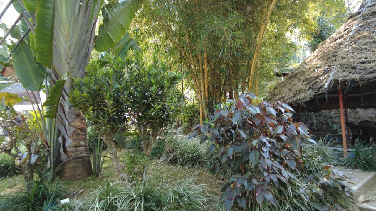 Seattle Garden Resort - Kollihills Bagian luar foto