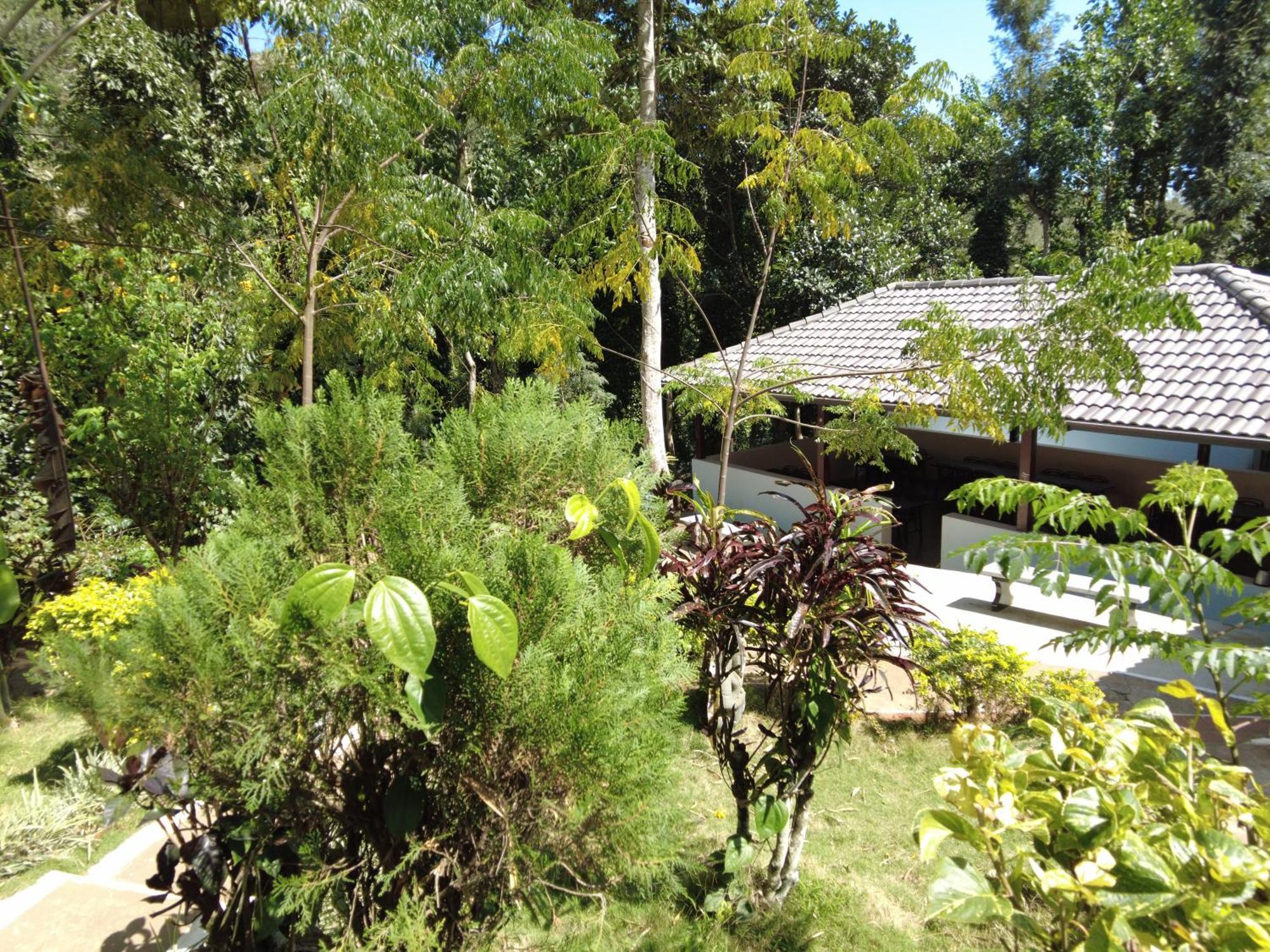 Seattle Garden Resort - Kollihills Bagian luar foto